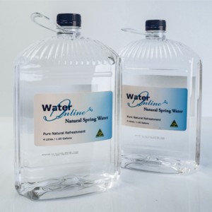 Water Online ®  4Litres, Still
